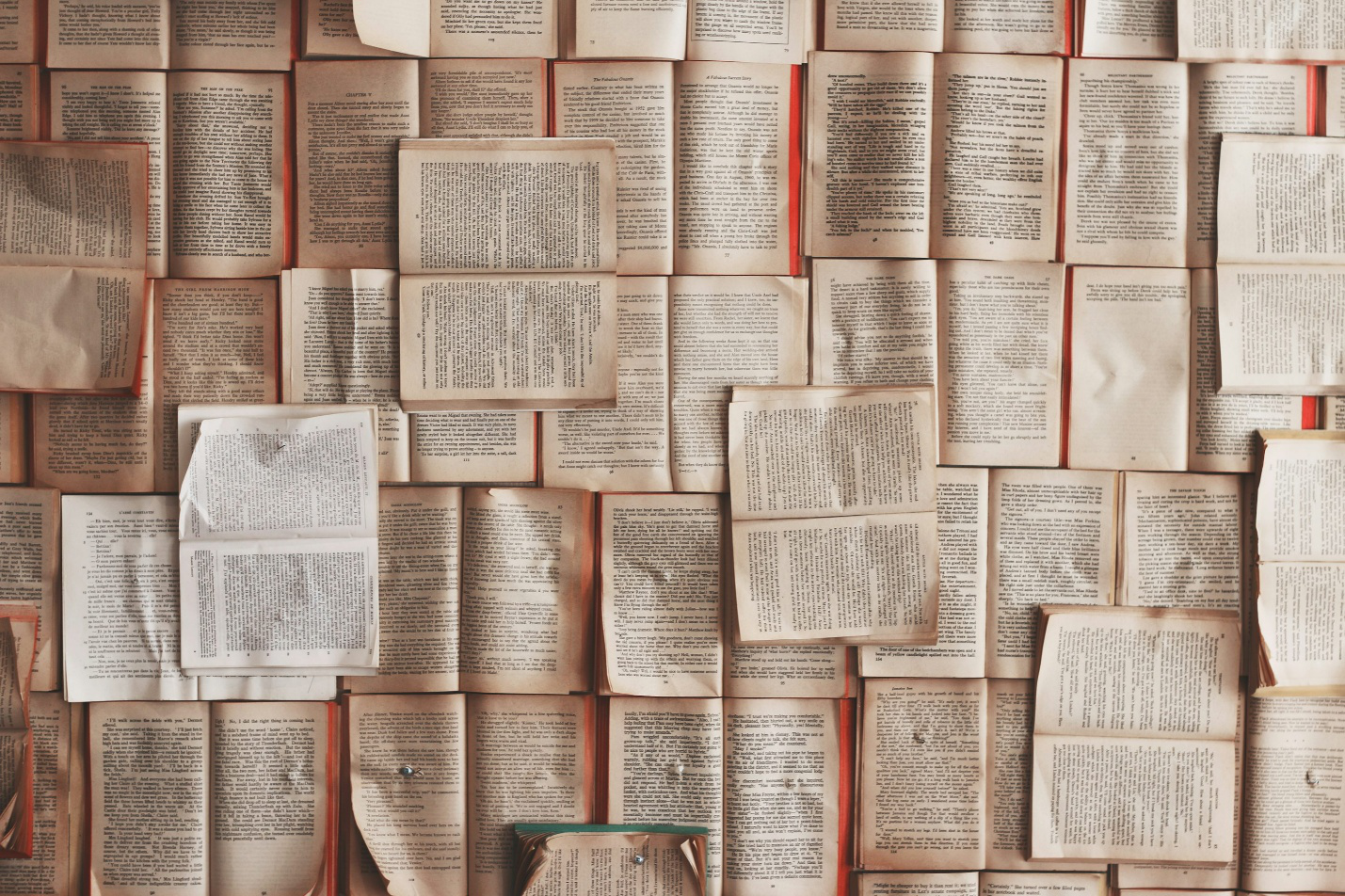Pages from a law book tacked on a wall